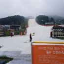 베어스 타운 이미지