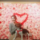 여기서 놀개 이미지