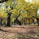 바람꽃펜션 네이버블로그