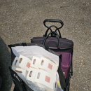 산운초등학교 이미지