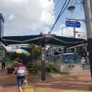 그늘막31 이미지