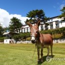 파로호생태마을 이미지