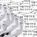 디피즈