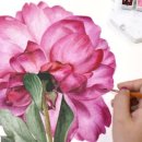 수채화 드로잉(중급) 이미지