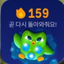 11500-19-45-104 | JLTP N3 45일 노베이스 독학 합격후기 l 공부법