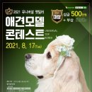 애견모델 이미지