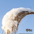 물음표 - 수성구 달구벌대로492길 9 | 물음표