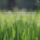 심지 이미지