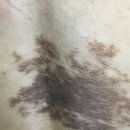 리뉴미 피부과 의원 이미지