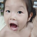 생자연 이미지