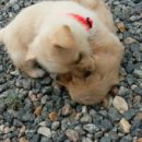 우드힐펜션 이미지