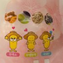 선인협동조합 이미지