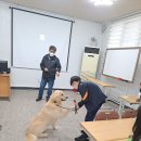 용지초등학교 이미지