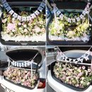 사림동250 이미지