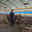 지영훈한우 이미지