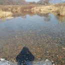 봉황사우나 이미지