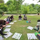 숲속이야기 | 🌳 자연 속에서 찾은 &#39;나&#39;의 이야기! &lt;푸른 숲 둥지교실&gt; 첫 수업 후기 ✨