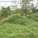 흑석축사 이미지