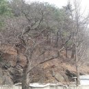 하천리-5 네이버블로그