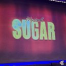 임춘길 | 뮤지컬 슈가 || 260208 솔라 송원근 남우현 김봉환 류비 임춘길 김도신