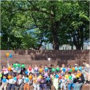 오산-청학-청학-7 | 오산 궐동어린이집 부모님도 신뢰할 수 있는 보금자리