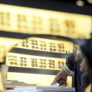 빠리안경원 이미지