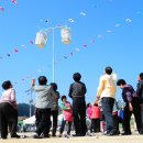 한반도면-14 이미지