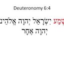 아비누 말케이누 이미지