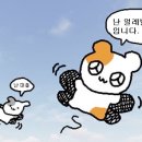 다농식품