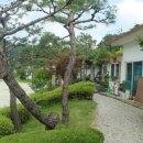 쌀밭나드리 이미지