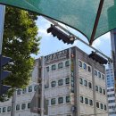 대홍약국 | [후기] 가고싶지 않았습니다. 알고 싶지 않았습니다. 소양증 그 불편한 진실