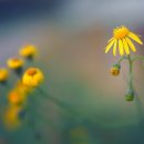 담을행정사사무소 이미지