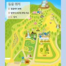 달빛축제공원(이동식 1) | 아산 아이와 가볼만한 튤립축제 주말 방문 후기 아산 피나클랜드 수목원