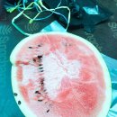 에스앤비펜션 이미지