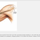 THE APPROACH 이미지