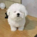 슬로우베이커리 이미지