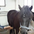 신언중학교 이미지