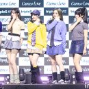 트리플에스
