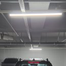 예쁨보배