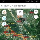 아산리 비석군 이미지