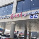 돼지마을 이미지