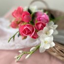 고대1124 | 사랑 명상 1124