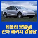 테슬라 모델YL, 알뜰하게 준비하는 신차패키지 경험담
