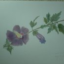 이배농장 이미지