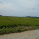 장전천1 이미지