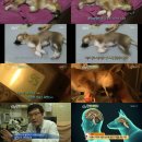 두모농장 이미지