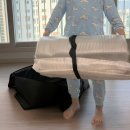 도그반하다 | 자충매트 사용하다 가성비가 좋은 탱고다운 에어매트를 구매했어요