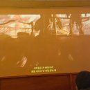 정석볼링샵 | 도파민