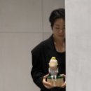 플라스틱 신화들 네이버블로그