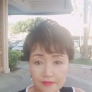 플루토 TV 이미지